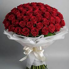 Букет 101 Красная роза Блэк Мэджик в Крапивинском