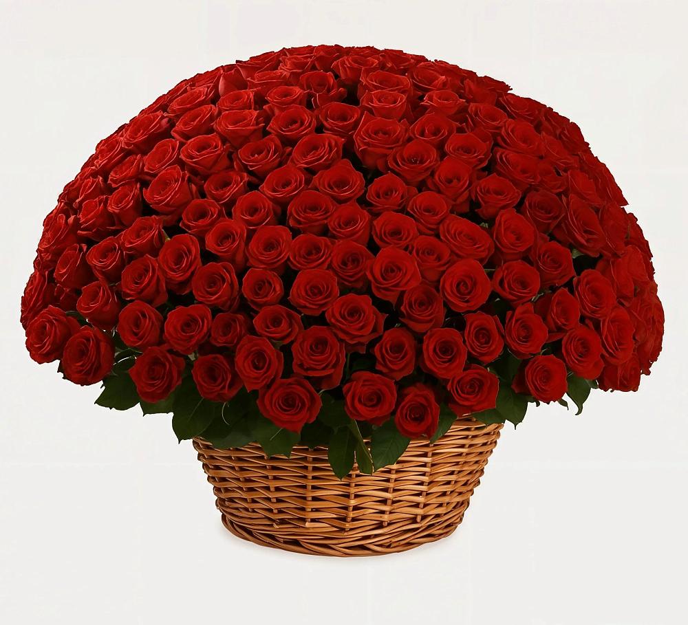 Премиум букет из: Розы в Крапивинском