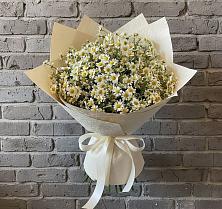 Букет цветов из:  Ромашки в Крапивинском