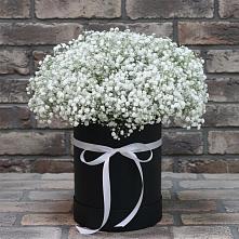 Цветочная композиция из Гипсофила в шляпной коробке в Крапивинском