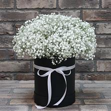 Цветочная композиция из Гипсофила в шляпной коробке в Крапивинском